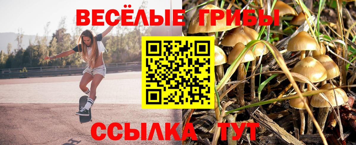 Галлюциногенные грибы MAGIC MUSHROOMS  Вход с VPN  Тара 